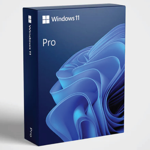 Microsoft Windows 11 Pro OEM